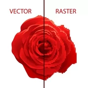 Raster vs. Vector Images: What’s the Difference?